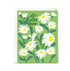 Greeting card with white daisies and "Let Love Grow'