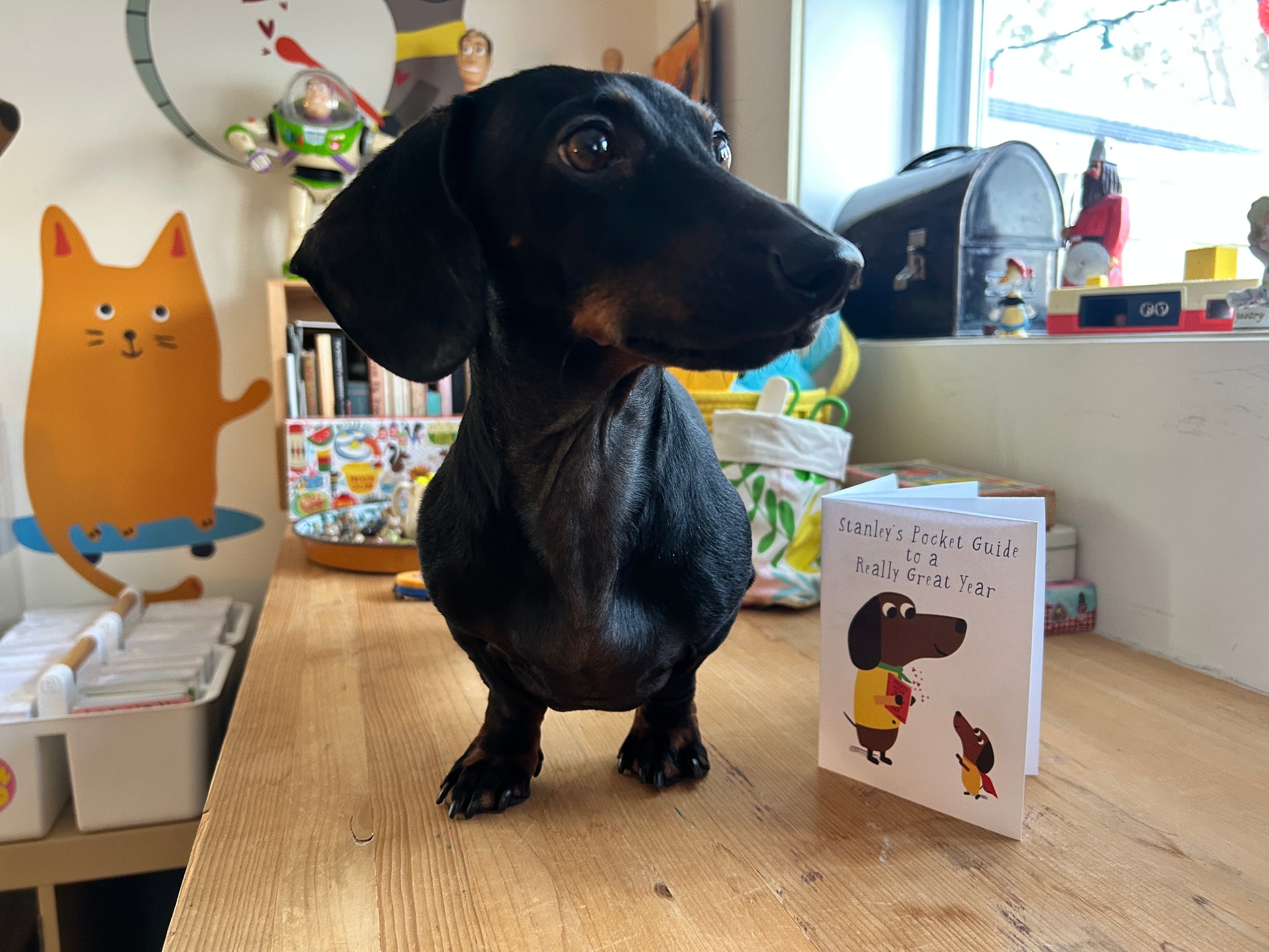 Stanley’s Pocket Guide to a Really Great Year