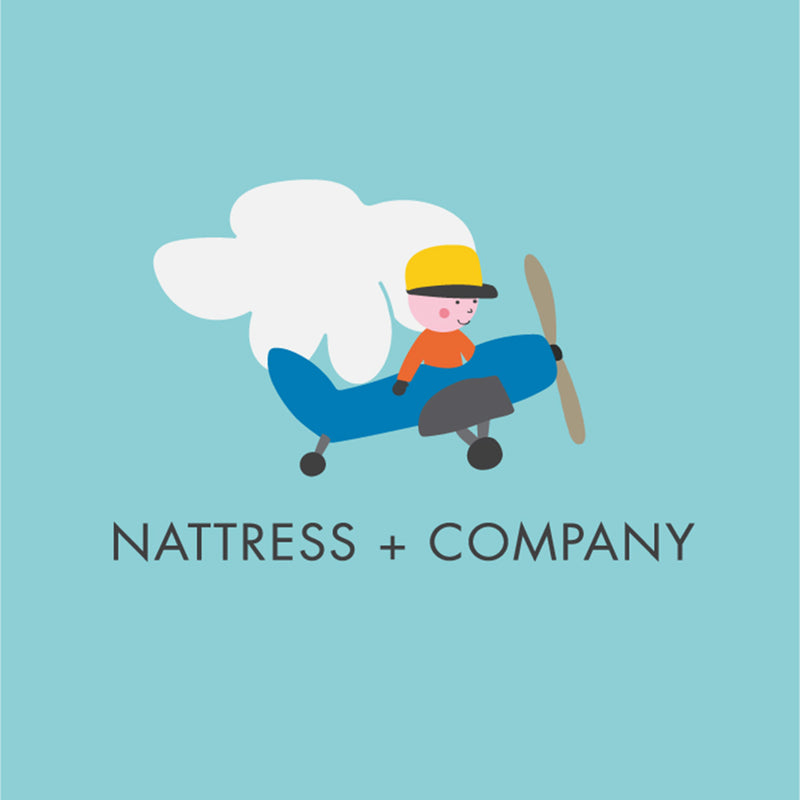 Illustration of an airplane with a cloud, featuring the brand 'Nattress + Company' on a light blue background.